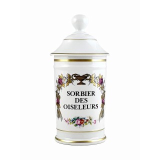 Sorbier des oiseleurs